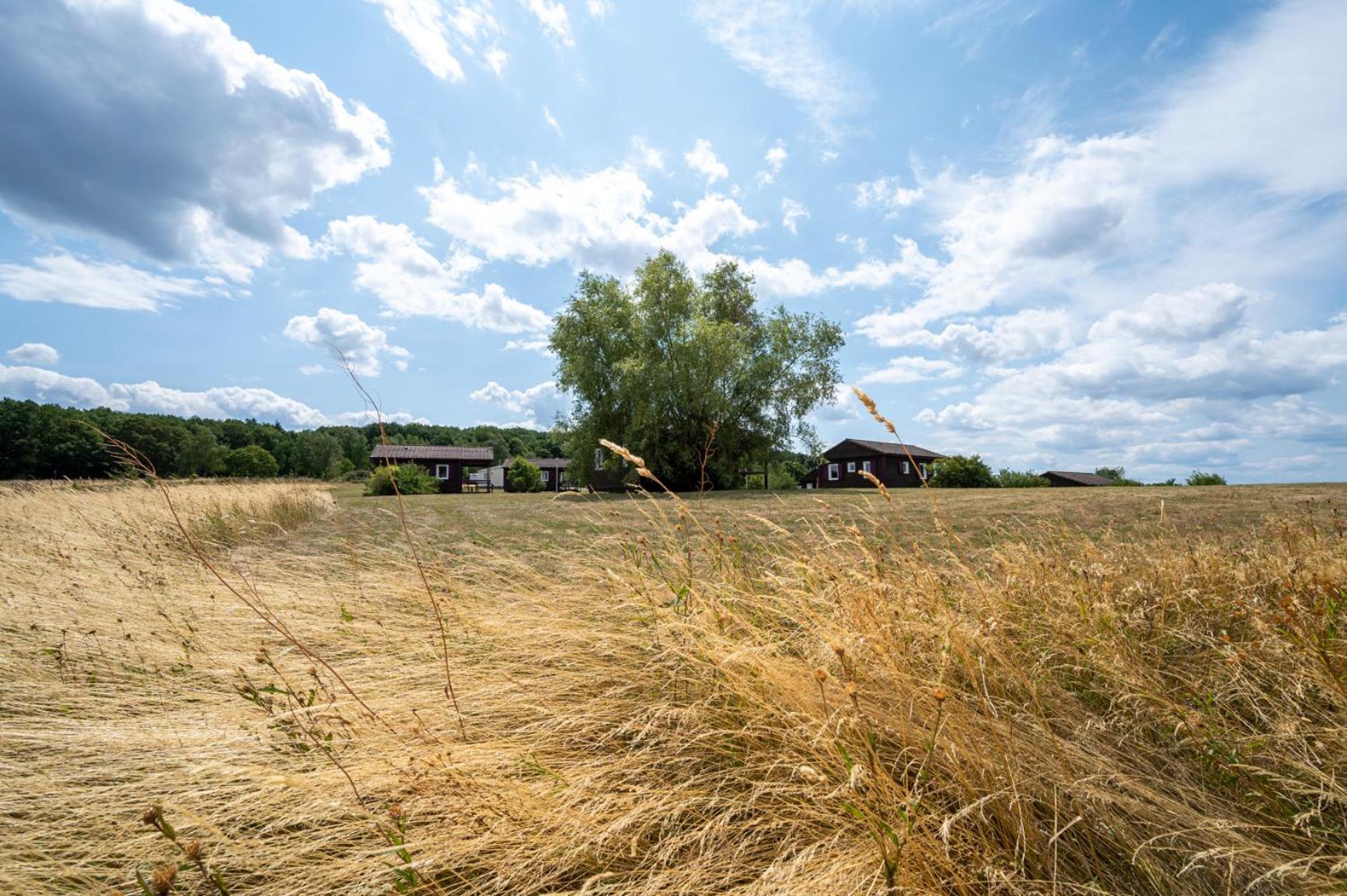 Camping Les Vosges Du Nord Oberbronn Zewnętrze zdjęcie